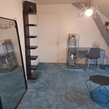 ホームステイ Chez Delphine Et Bob -ancienne Maison De Tanneurs