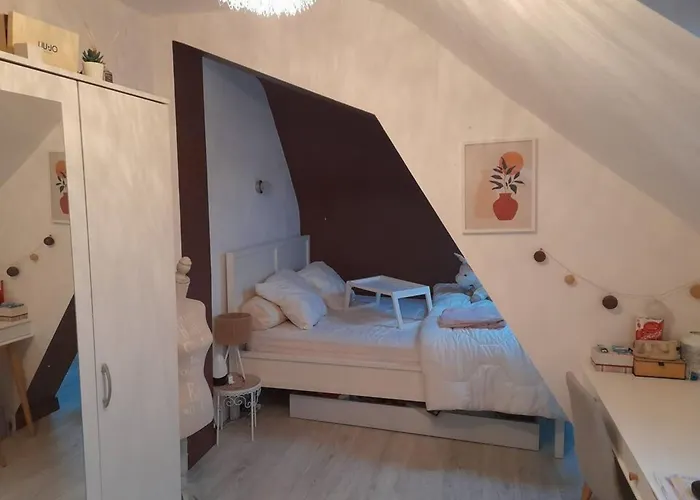 Chez Delphine Et Bob -ancienne Maison De Tanneurs *